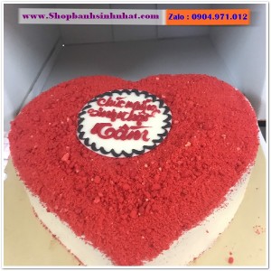 Bánh Sinh Nhật Tiramisu - T113